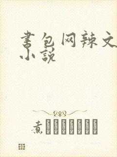 书包网辣文全本小说