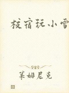 校宿玩小雪