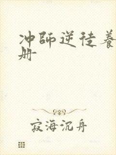 冲师逆徒养成手册