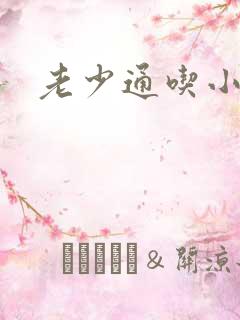 老少通吃小说