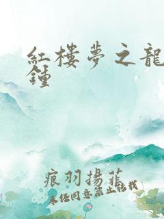 红楼梦之龙套秦钟