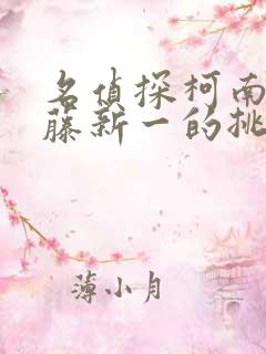 名侦探柯南给工藤新一的挑战书