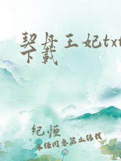 契丹王妃txt下载