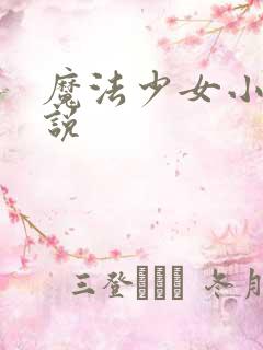 魔法少女小圆小说