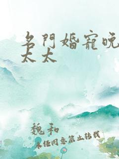 名门婚宠晚安赫太太