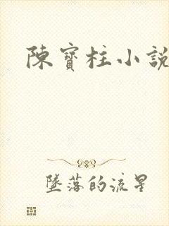陈宝柱小说