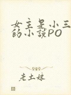 女主是小三很婊的小说PO