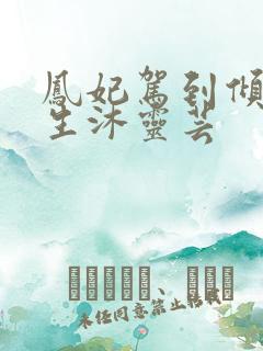 凤妃驾到倾倒众生沐灵芸