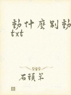 动什么别动感情txt