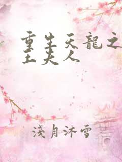 重生天龙之推倒王夫人