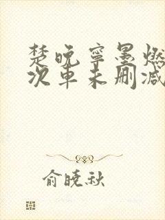 楚晚宁墨燃第一次车未删减