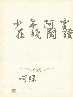 少 年 阿 宾 在 线 阅 读