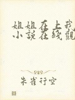 姐姐在上我在下小说在线观看