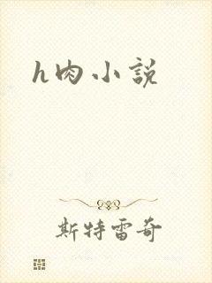 h肉小说