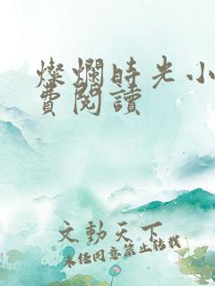 灿烂时光小说免费阅读