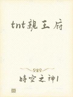 tnt亲王府