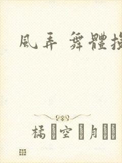 风弄 舞体投递