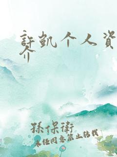 许凯个人资料简介