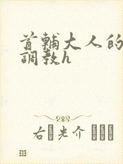 首辅大人的花式调教h