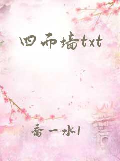 四面墙txt