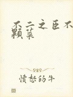 不二之臣不止是颗菜