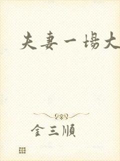 夫妻一场大结局