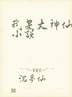 我是大神仙时江小说