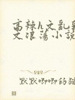 高辣h文乱乳h文浪荡小说苏瑾瑶