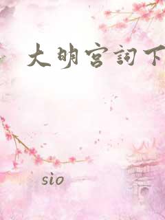 大明宫词下载