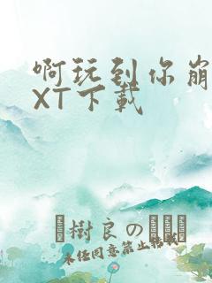 啊玩到你崩溃TXT下载