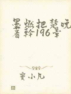 墨燃把楚晚宁按着干196章
