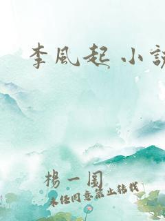 李风起 小说