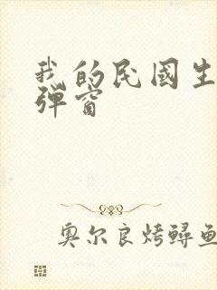 我的民国生涯无弹窗