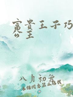 富贵王子巧遇穷公主