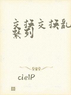 交换交换乱杂烩系列