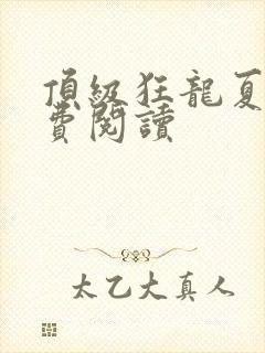 顶级狂龙夏天免费阅读