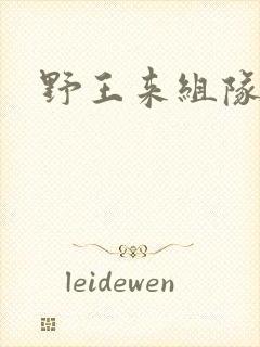 野王来组队小说