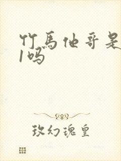 竹马他哥是1v1吗