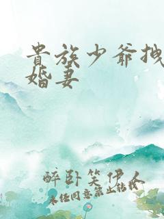 贵族少爷拽拽未婚妻