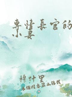 专情长官的天价小妻