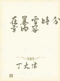 在暴雪时分54章内容