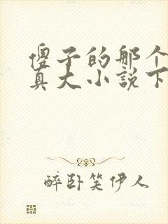 傻子的那个东西真大小说下载