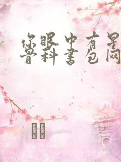 你眼中有星辰h骨科书包网