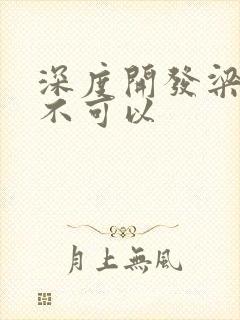 深度开发梁医生不可以