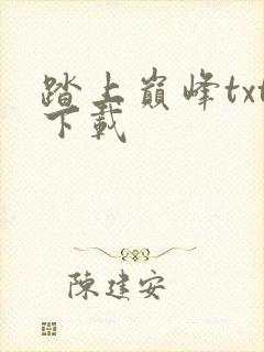 踏上巅峰txt下载