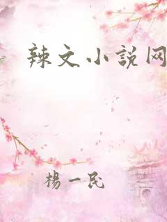 辣文小说网