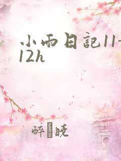 小雨日记11-12h