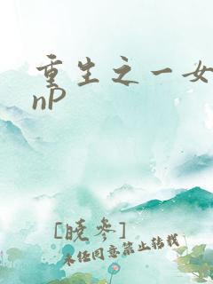 重生之一女九龙nP