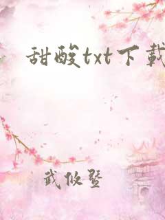 甜酸txt下载