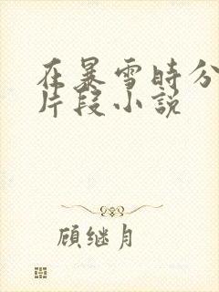 在暴雪时分高能片段小说